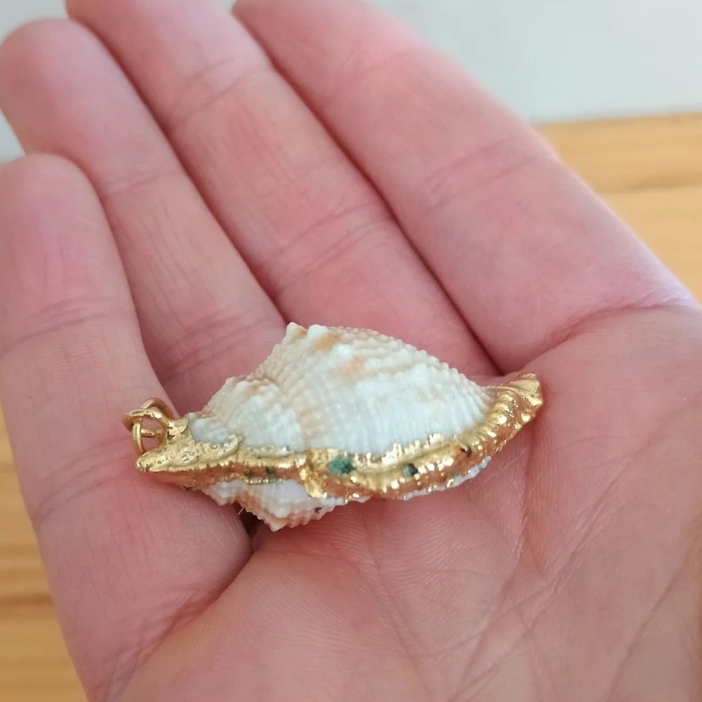 Natural Conch Seashell Pendant Gold Accented Nautical Ocean - Picture 3 of 6